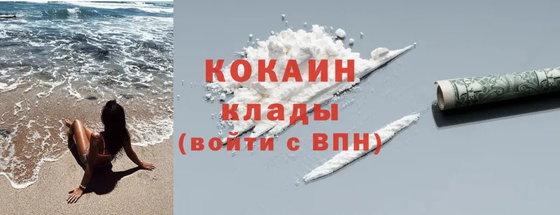 Что такое Каменногорск МДМА  ГАШ  Cocaine 